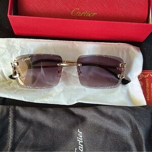 Cartier Men's Sunglasses with Purple Lenses and Gold Accents